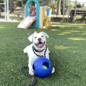 Fundraising Page: Gianna Harrington